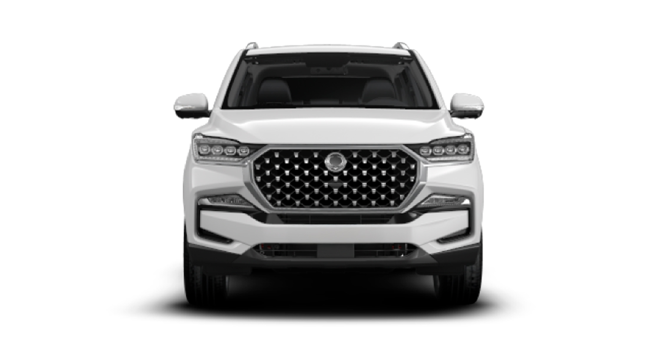 REXTON-01